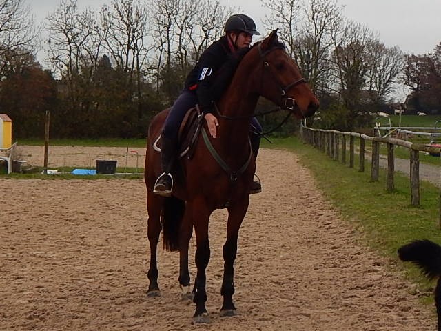 Photo de profil de maud58