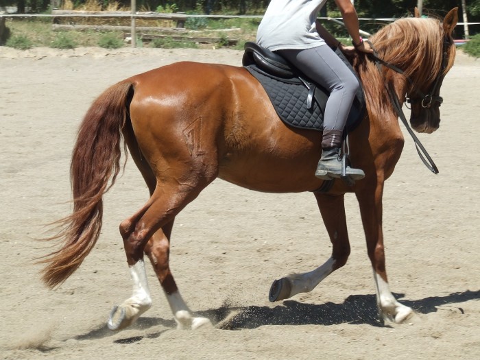 Photo de profil de mela13720