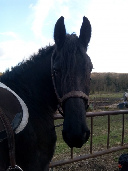 Photo de profil de melanie05