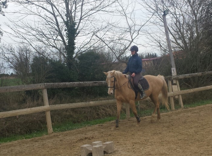 Photo de profil de meli.brulard