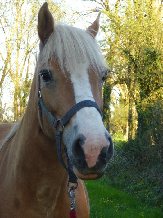 Photo de profil de merrie85
