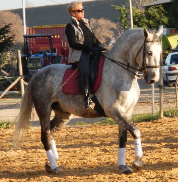 Photo de profil de migimmo