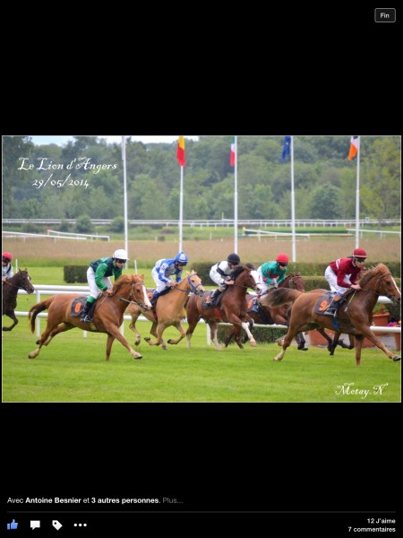 Photo de profil de m.justum