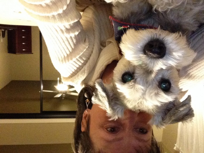 Photo de profil de mouffe