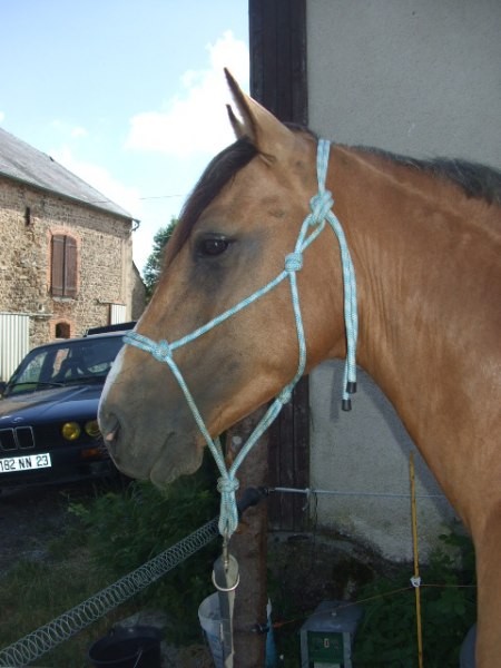 Photo de profil de moussmouss