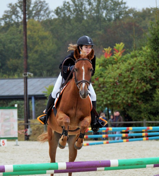 Photo de profil de mvoizeux