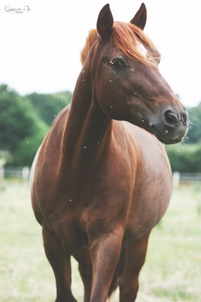 Photo de profil de mystero2602