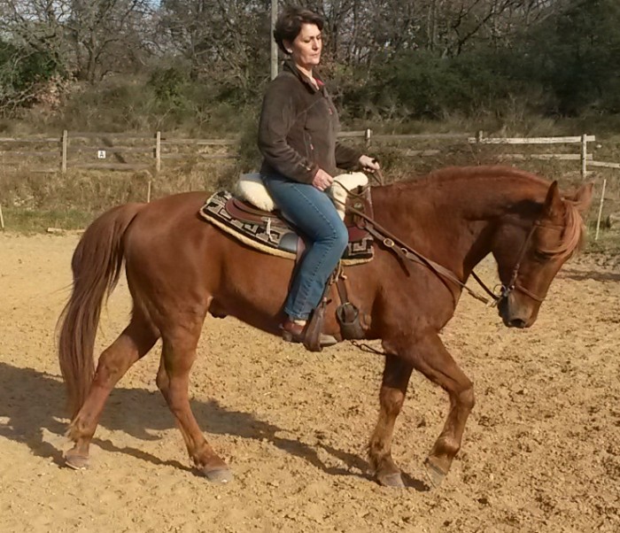 Photo de profil de mywarden