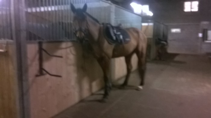 Photo de profil de nemo5725