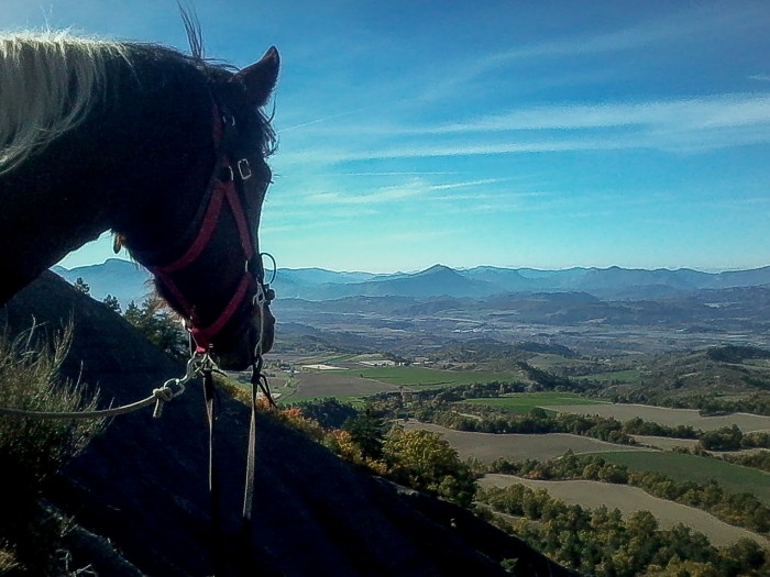 Photo de profil de neno05