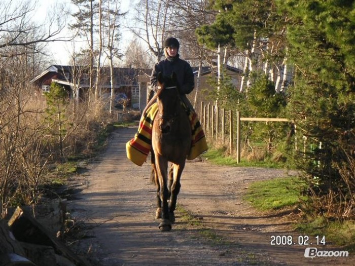 Photo de profil de nikoline