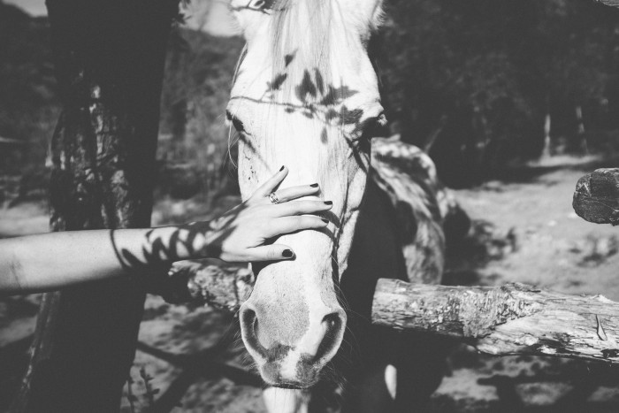 Photo de profil de noeliemathilde