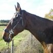 Photo de profil de nouni42