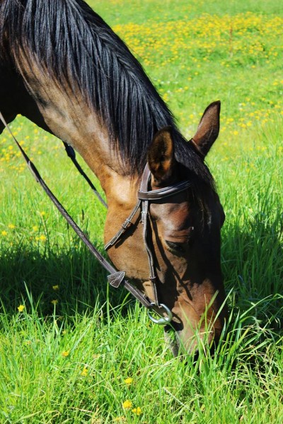 Photo de profil de oasis2814