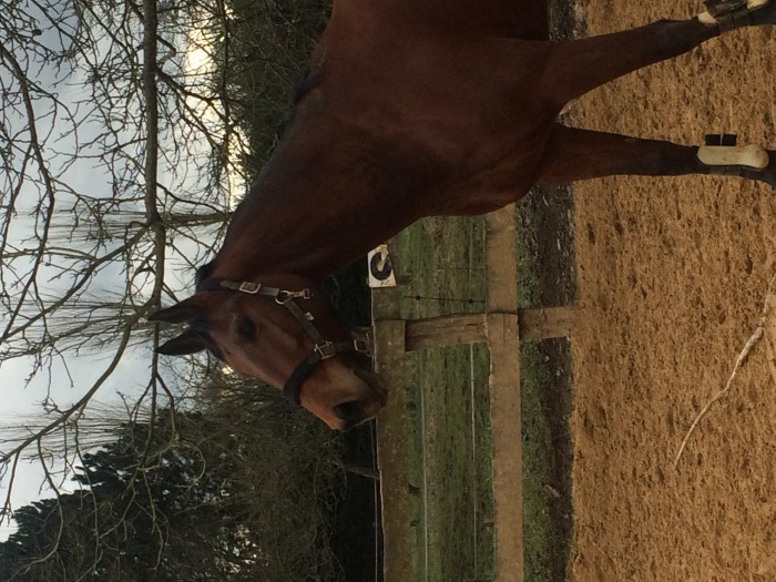 Photo de profil de olibri57