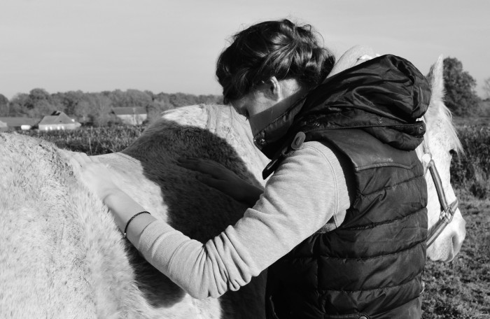 Photo de profil de osteoanimalier