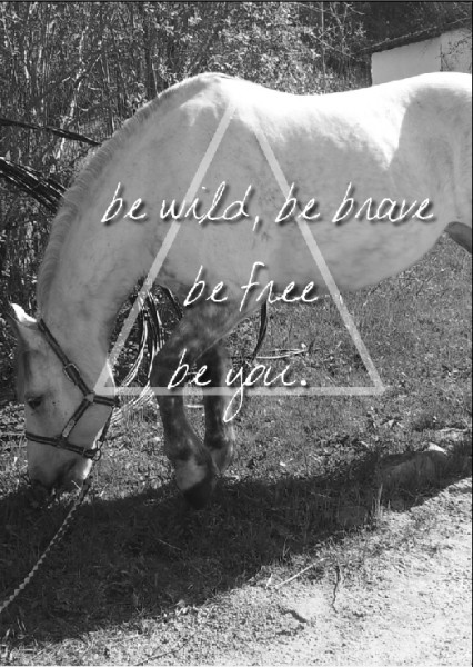 Photo de profil de petitponey974