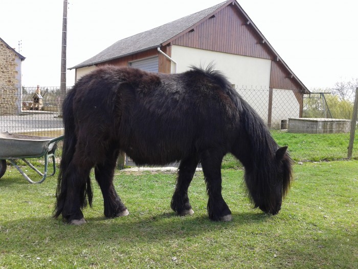 Photo de profil de polypollux