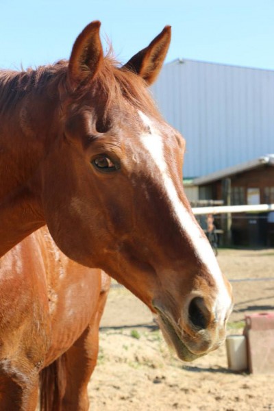 Photo de profil de poussi