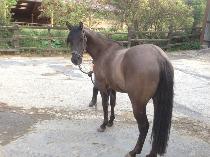 Photo de profil de quarterfond