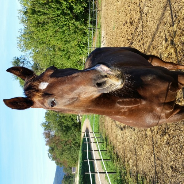 Photo de profil de rebus