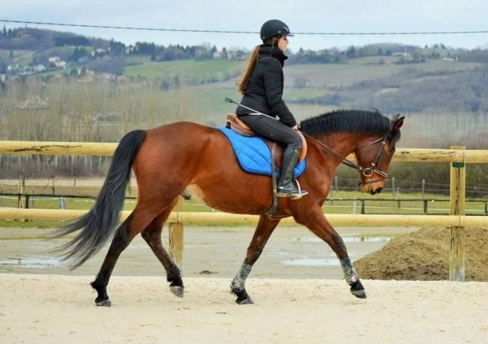 Photo de profil de regnet