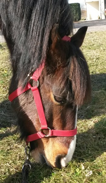 Photo de profil de revequin