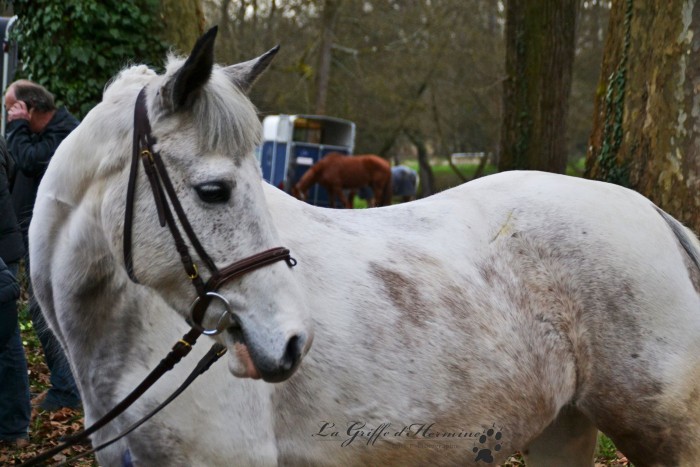 Photo de profil de roselolo