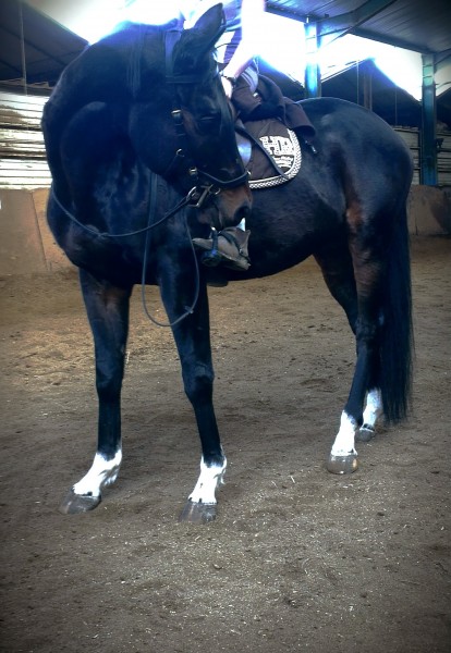 Photo de profil de rousset74