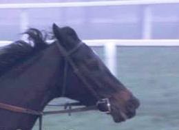 Photo de profil de rubygillig