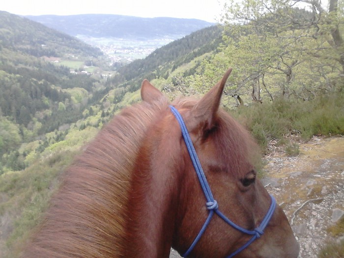 Photo de profil de sagamo