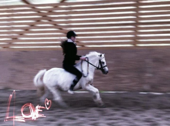 Photo de profil de sandragdl