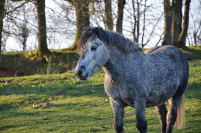 Photo de profil de schtroudinou