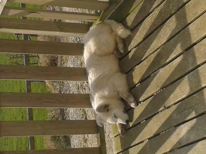 Photo de profil de selvadu53