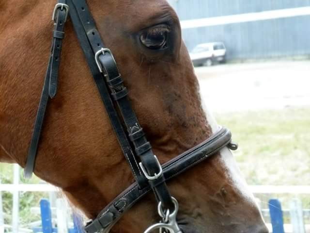 Photo de profil de sergiorin