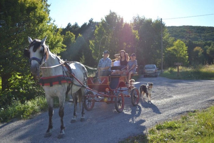 Photo de profil de sh04