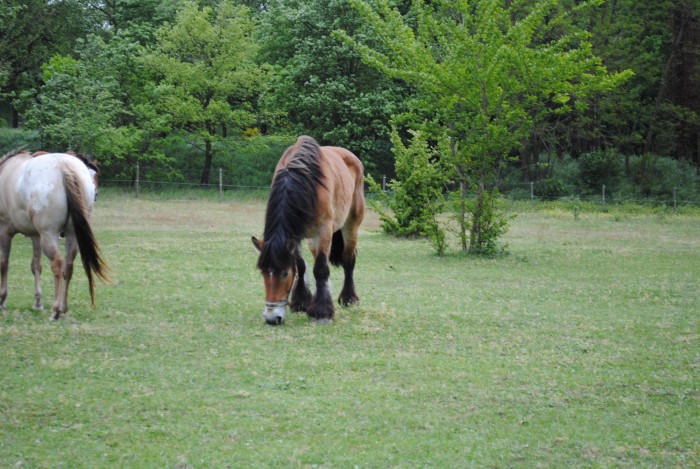 Photo de profil de sirene07800