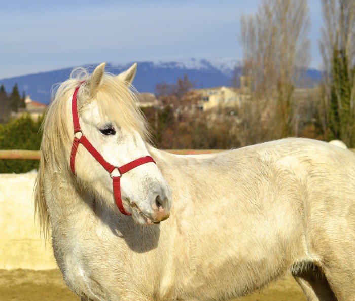 Photo de profil de solenncphoto