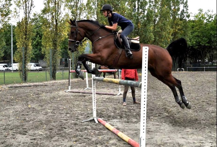 Photo de profil de sophiecleret