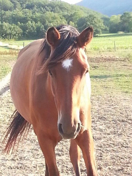 Photo de profil de tagada09