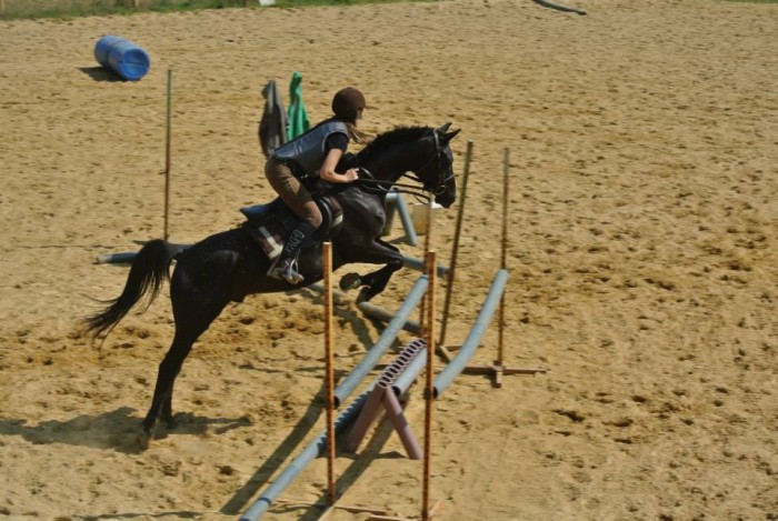 Photo de profil de tanidevis