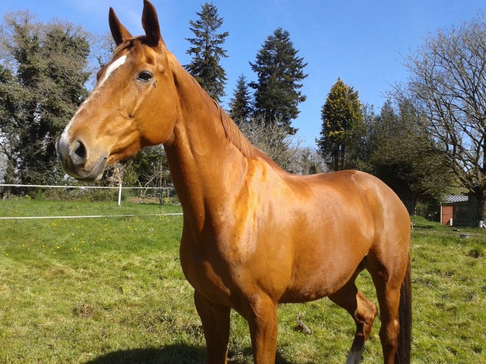 Photo de profil de tatounka