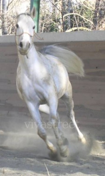 Photo de profil de thalie001