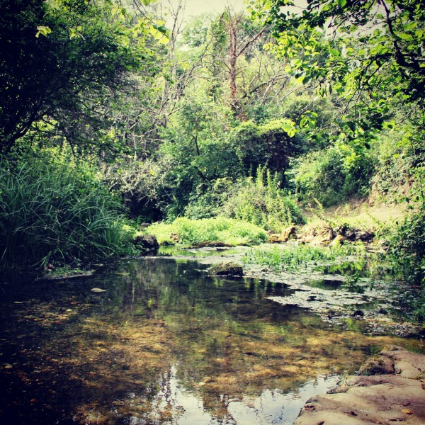 Photo de profil de titouette