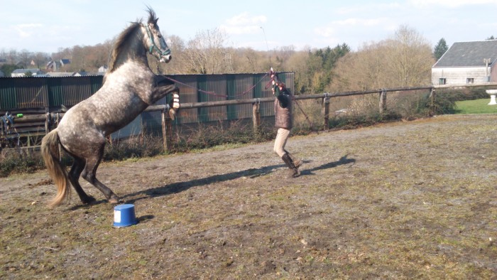 Photo de profil de torbiscoetmoi