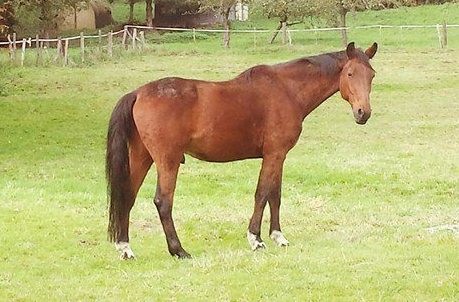 Photo de profil de torpyl60