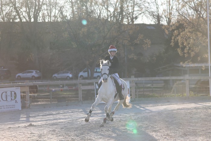 Photo de profil de trihorse