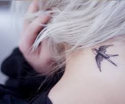 Photo de profil de Une.Hirondelle.