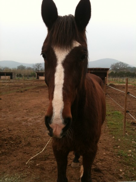 Photo de profil de vaillant83