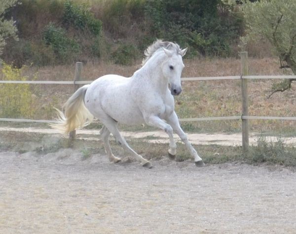 Photo de profil de vivivianedepin